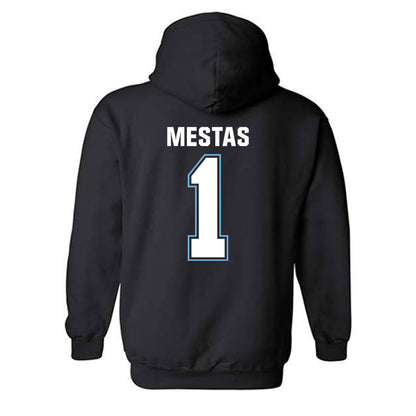 San Diego - NCAA Baseball : Gage Mestas - Hooded Sweatshirt-1