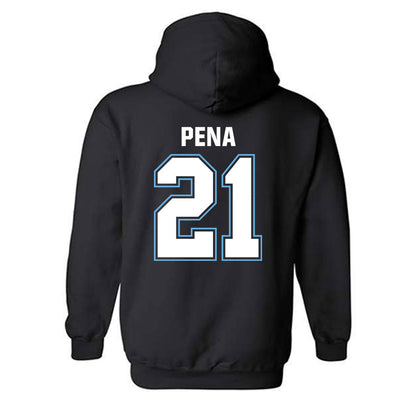 San Diego - NCAA Men's Soccer : Kevin Pena - Hooded Sweatshirt-1