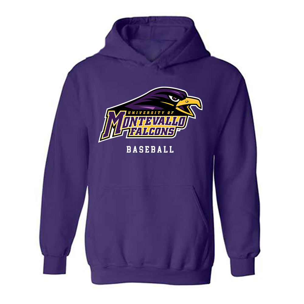 Montevallo - NCAA Baseball : Matthew Steele - Hooded Sweatshirt-0
