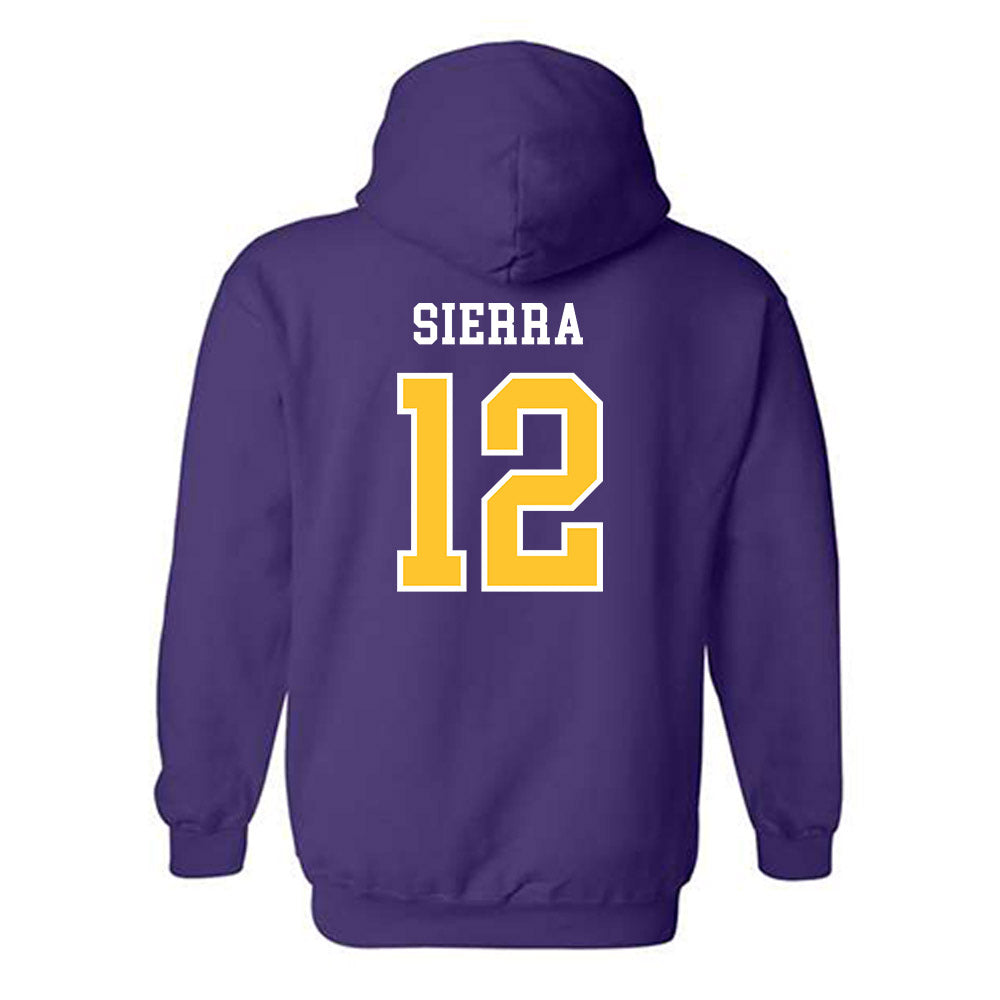 Montevallo - NCAA Men's Soccer : Ricardo Sierra - Hooded Sweatshirt-1
