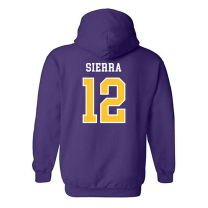 Montevallo - NCAA Men's Soccer : Ricardo Sierra - Hooded Sweatshirt-1