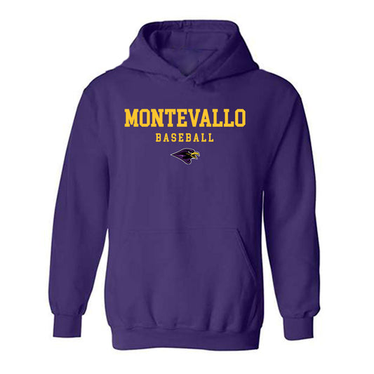 Montevallo - NCAA Baseball : Matthew Steele - Hooded Sweatshirt-0