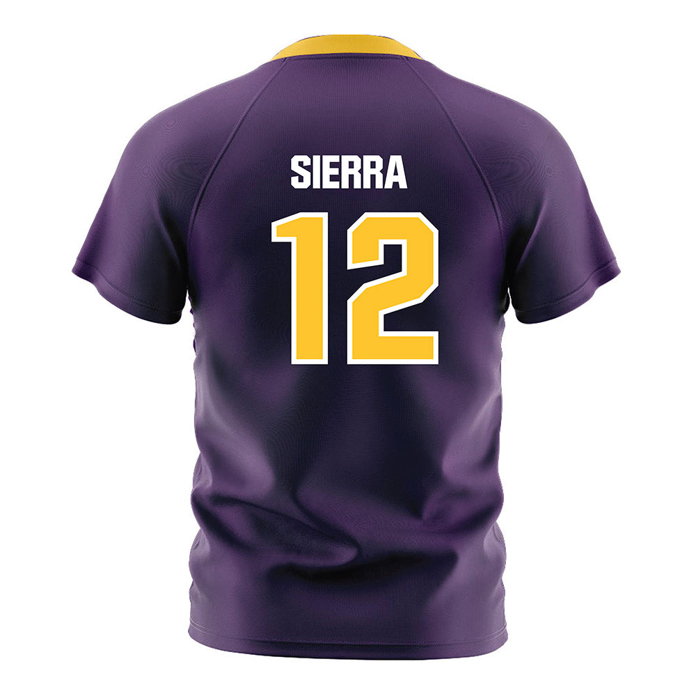 Montevallo - NCAA Men's Soccer : Ricardo Sierra - Soccer Jersey-1