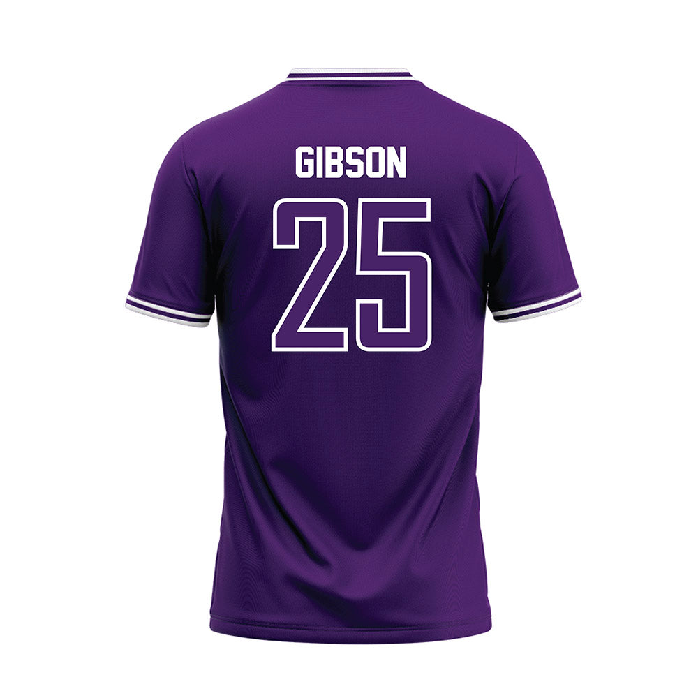 Evansville - NCAA Softball : Tessa Gibson - Baseball Jersey-1