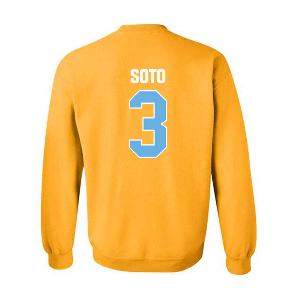 LIU - NCAA Softball : Anais Soto - Classic Shersey Crewneck Sweatshirt-1
