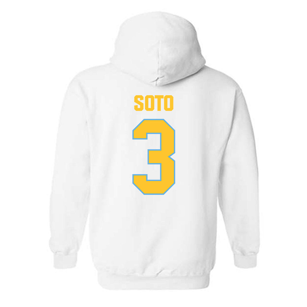 LIU - NCAA Softball : Anais Soto - Hooded Sweatshirt-1