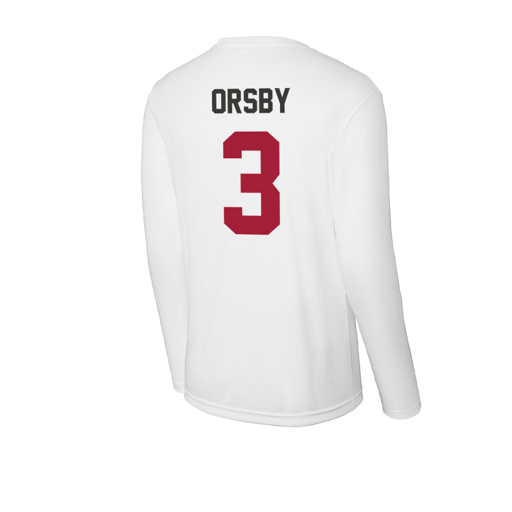 Arkansas - NCAA Women's Basketball : Allanah Orsby - Activewear Long Sleeve T-Shirt-1