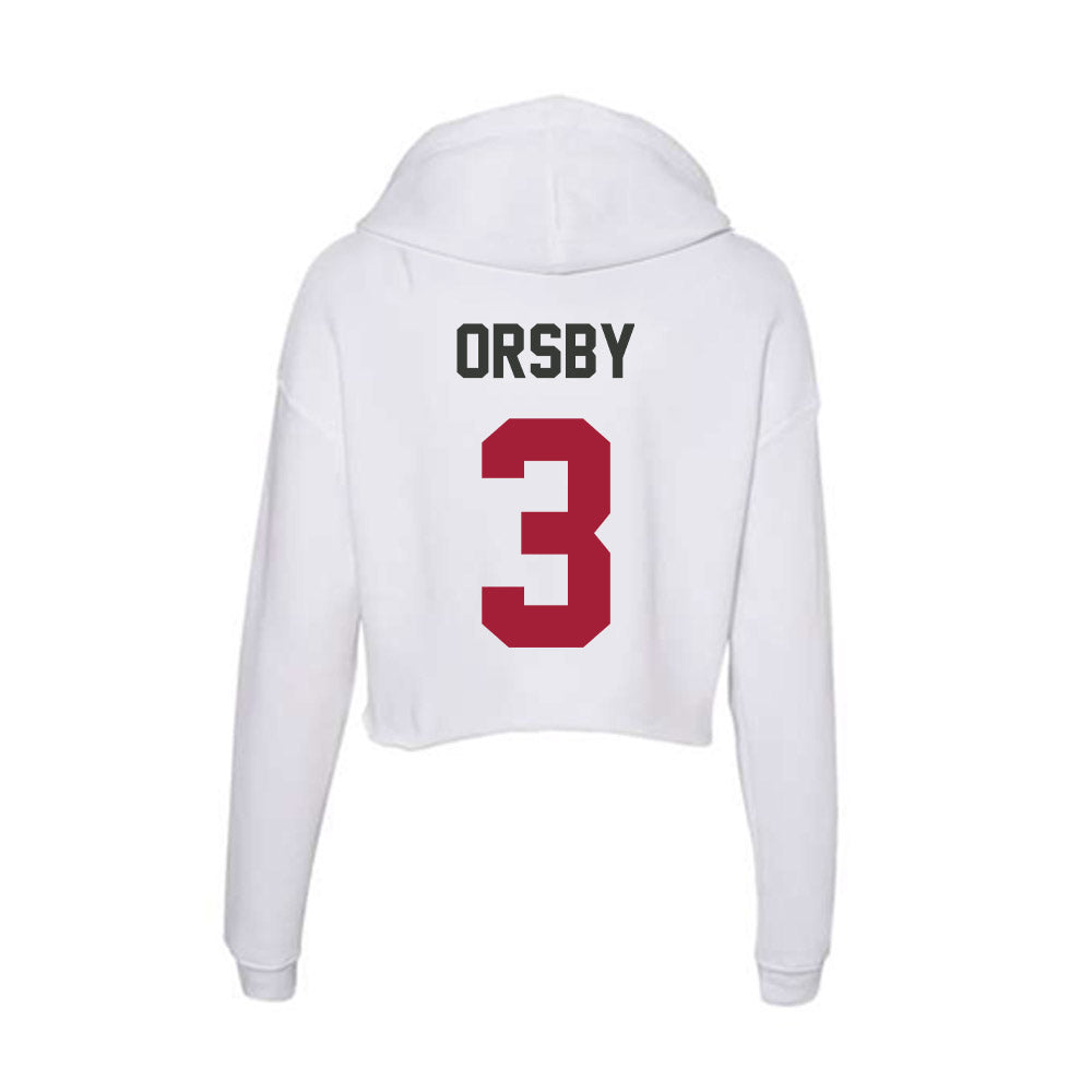 Arkansas - NCAA Women's Basketball : Allannah Orsby - Women's Crop Fleece Hoodie-1