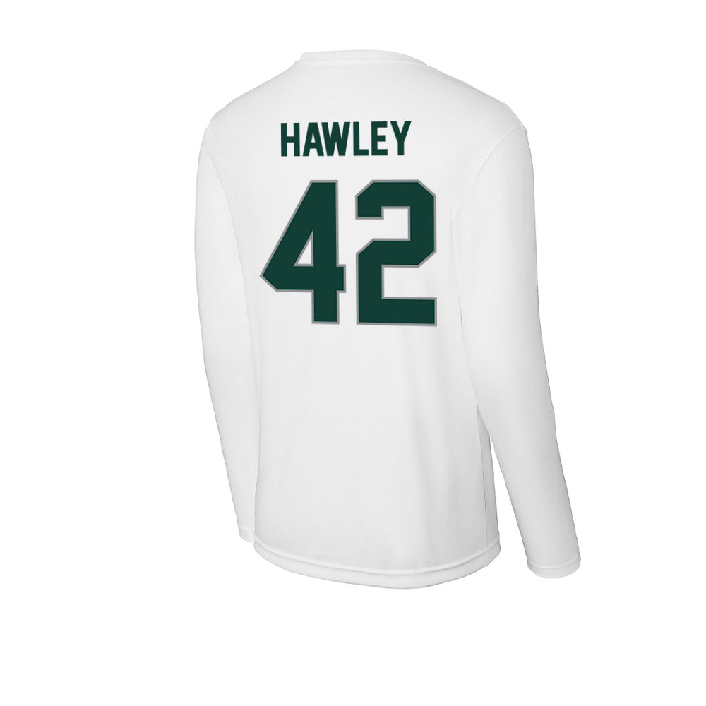 Michigan State - NCAA Softball : Hannah Hawley - Activewear Long Sleeve T-Shirt