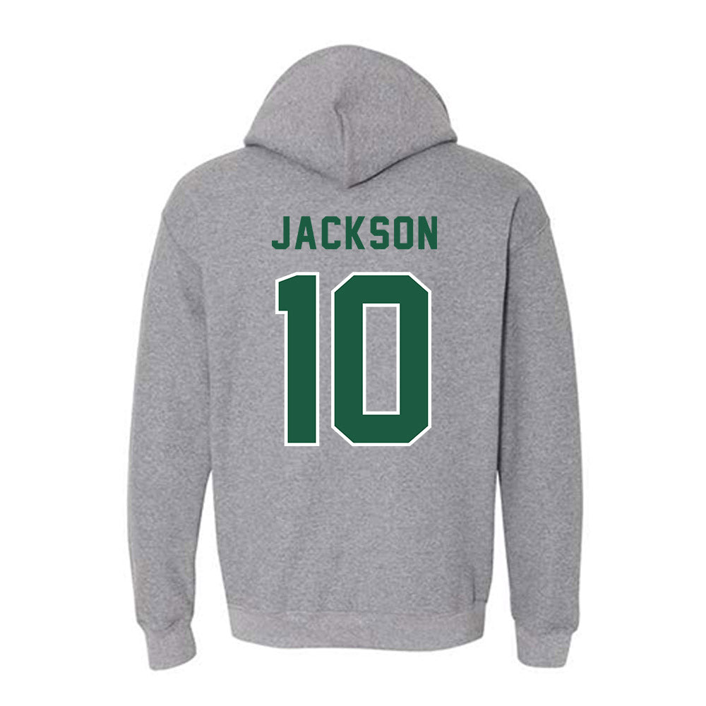 Saint Leo - NCAA Baseball : Ryan Jackson - Hooded Sweatshirt-1