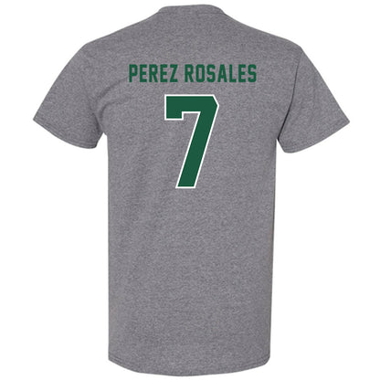Saint Leo - NCAA Men's Soccer : Jorge Perez Rosales - T-Shirt-1