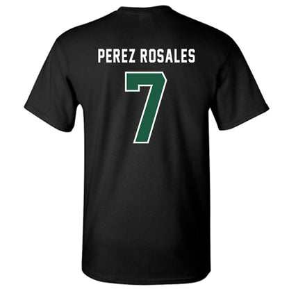 Saint Leo - NCAA Men's Soccer : Jorge Perez Rosales - T-Shirt-1