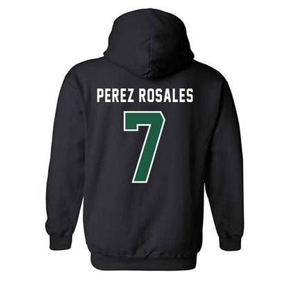 Saint Leo - NCAA Men's Soccer : Jorge Perez Rosales - Hooded Sweatshirt-1