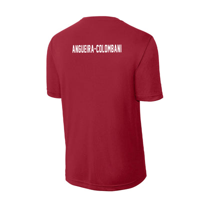 FSU - NCAA Women's Swimming & Diving : Alexandra Angueira-Colombani - Activewear T-Shirt-1
