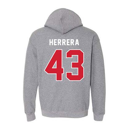 NWOSU - NCAA Baseball : Elias Herrera - Classic Shersey Hooded Sweatshirt-1