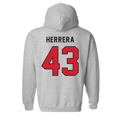 NWOSU - NCAA Baseball : Elias Herrera - Classic Shersey Hooded Sweatshirt-1