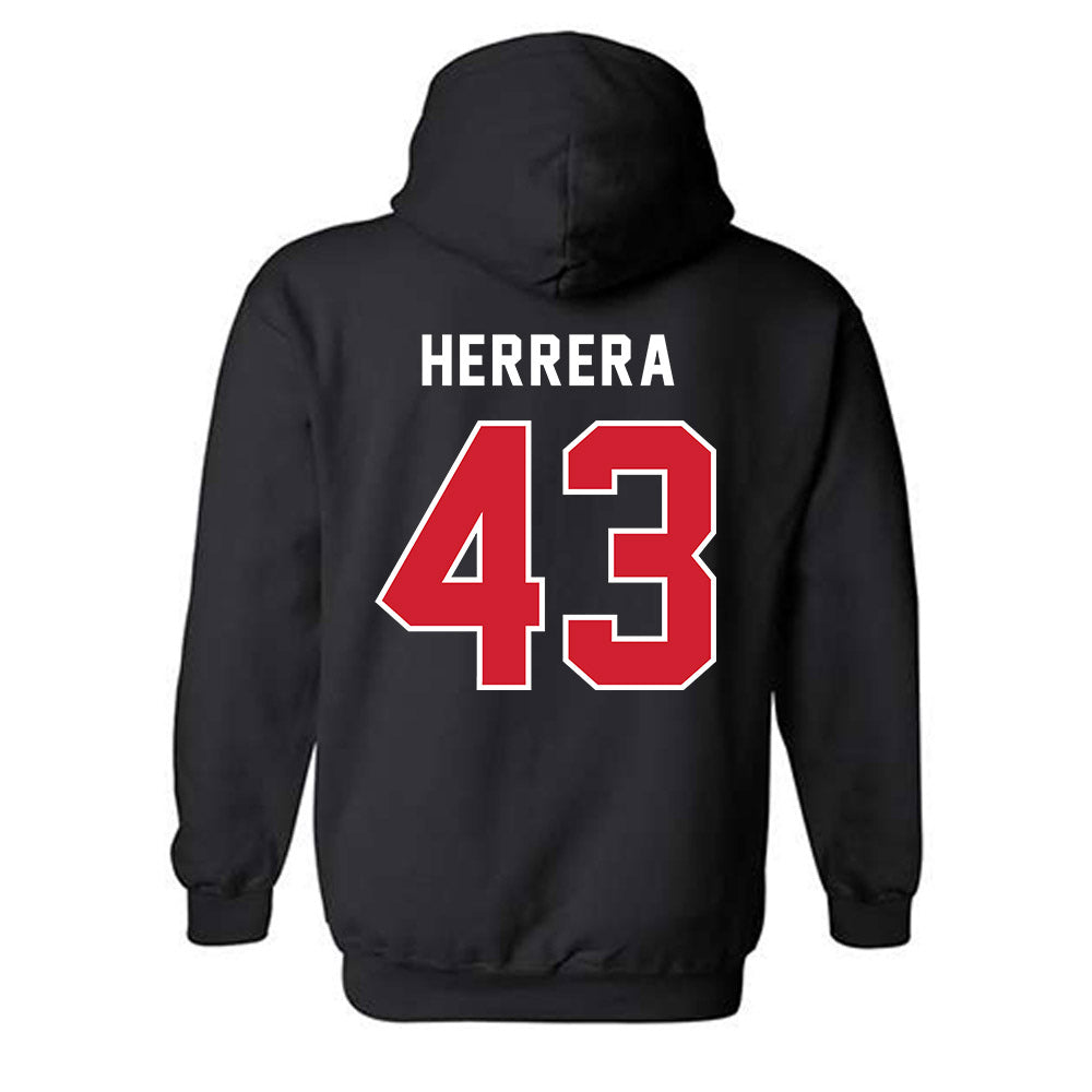 NWOSU - NCAA Baseball : Elias Herrera - Hooded Sweatshirt-1