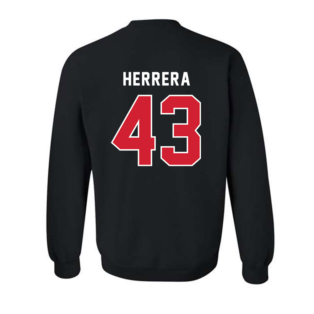 NWOSU - NCAA Baseball : Elias Herrera - Crewneck Sweatshirt-1