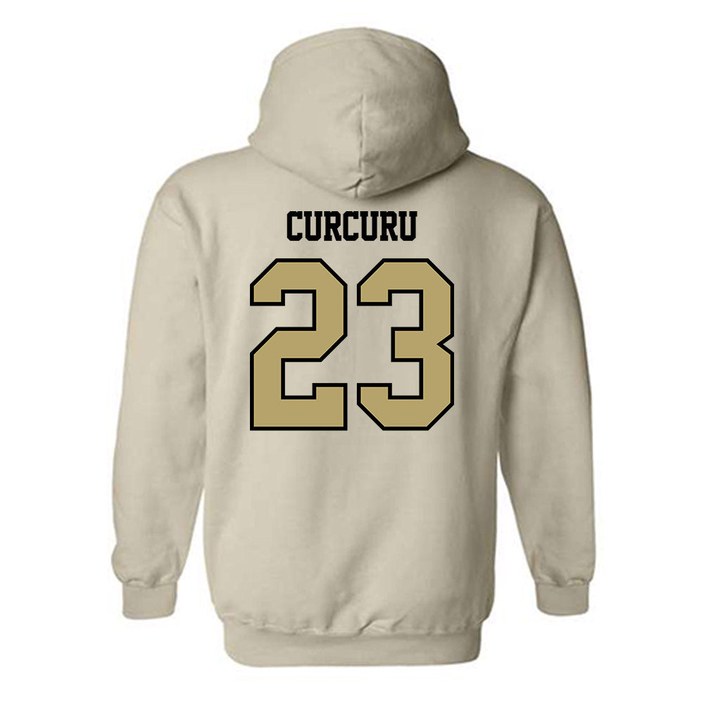Lindenwood - NCAA Men's Volleyball : Aidan Curcuru - Classic Shersey Hooded Sweatshirt-1