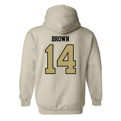 Lindenwood - NCAA Softball : Teryn Brown - Classic Shersey Hooded Sweatshirt-1