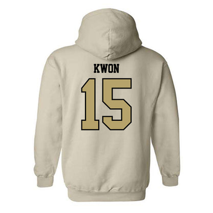 Lindenwood - NCAA Men's Basketball : Daniel Kwon - Classic Shersey Hooded Sweatshirt-1