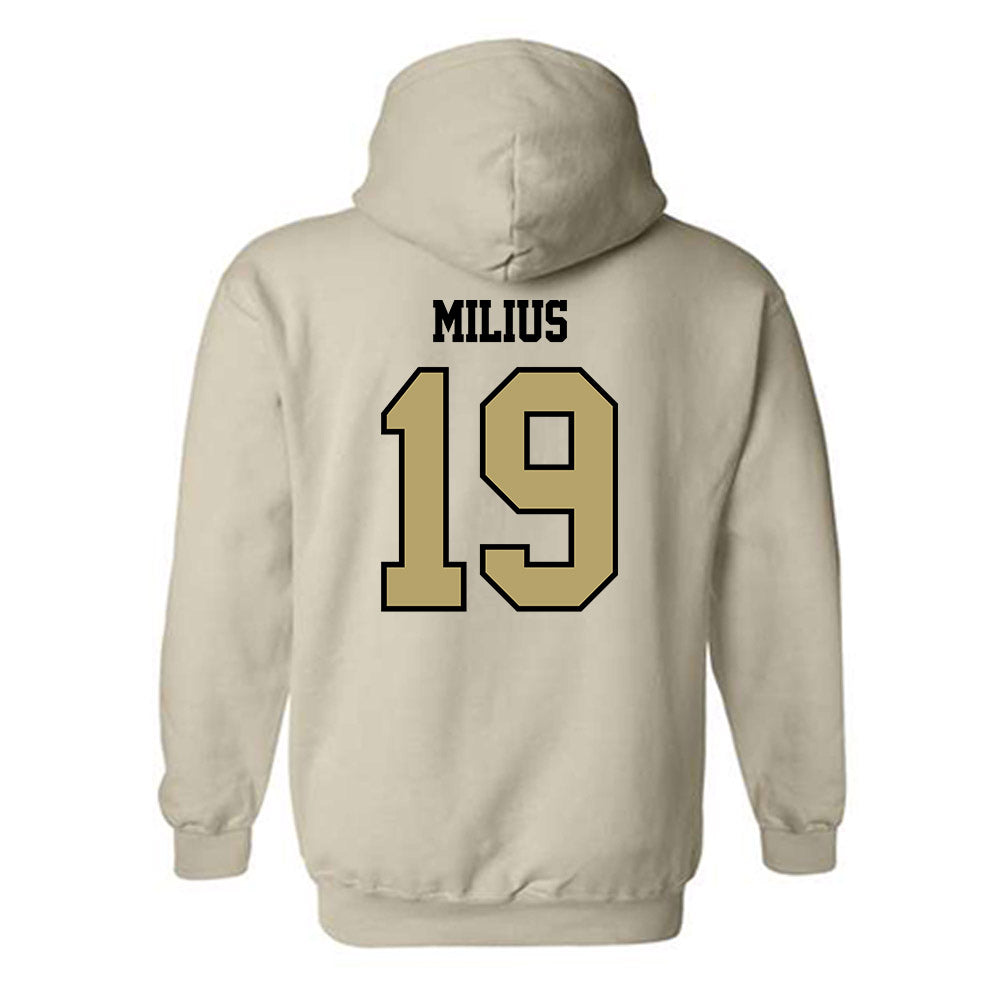 Lindenwood - NCAA Baseball : Ethan Milius - Classic Shersey Hooded Sweatshirt-1
