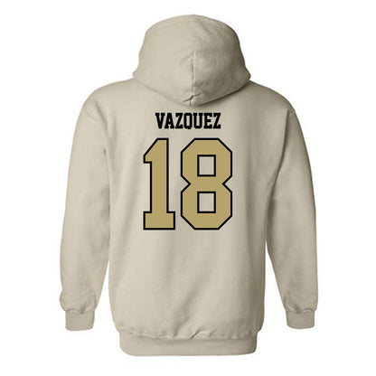 Lindenwood - NCAA Women's Lacrosse : Kayla Vazquez - Classic Shersey Hooded Sweatshirt-1
