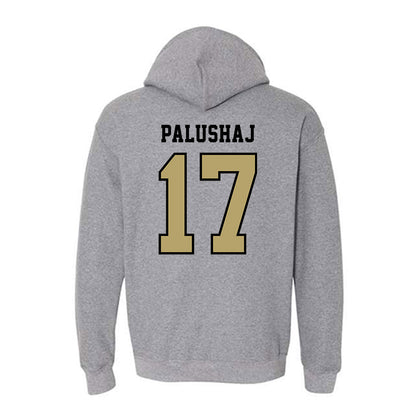 Lindenwood - NCAA Men's Soccer : Jozef Palushaj - Classic Shersey Hooded Sweatshirt-1