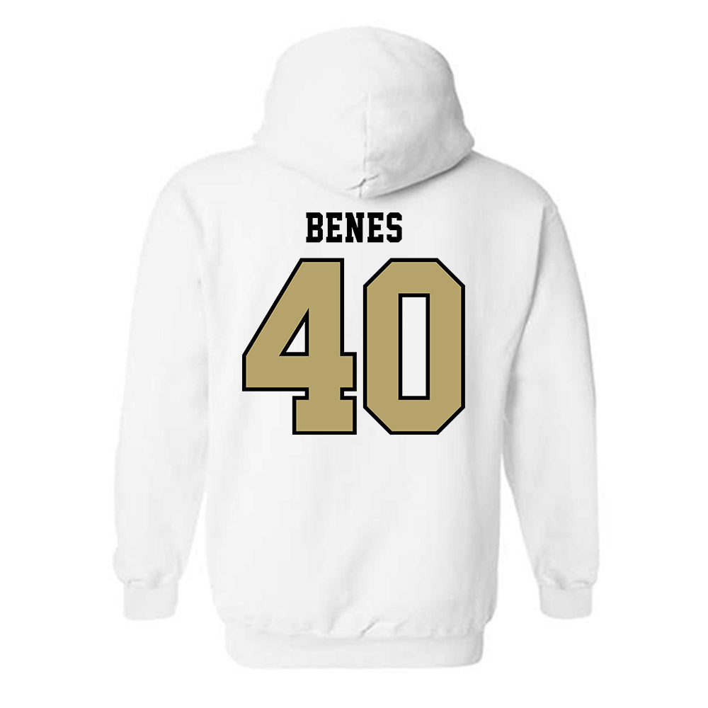 Lindenwood - NCAA Baseball : Seth Benes - Classic Shersey Hooded Sweatshirt-1