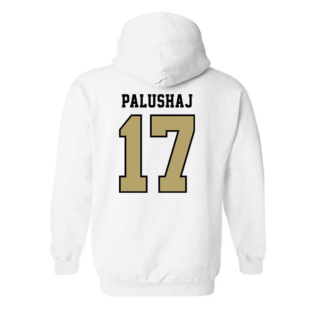 Lindenwood - NCAA Men's Soccer : Jozef Palushaj - Classic Shersey Hooded Sweatshirt-1