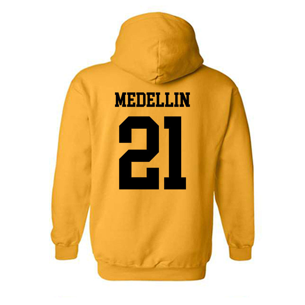 UAPB - NCAA Baseball : Jordan Medellin - Classic Shersey Hooded Sweatshirt-1
