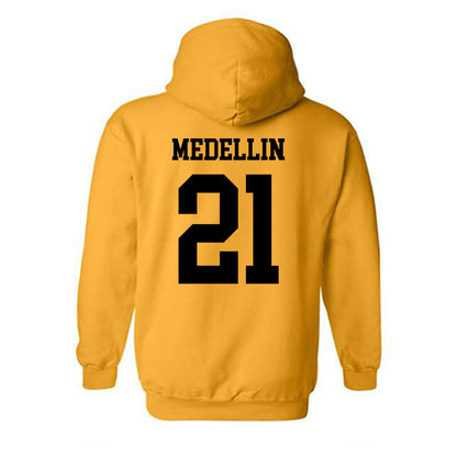 UAPB - NCAA Baseball : Jordan Medellin - Classic Shersey Hooded Sweatshirt-1