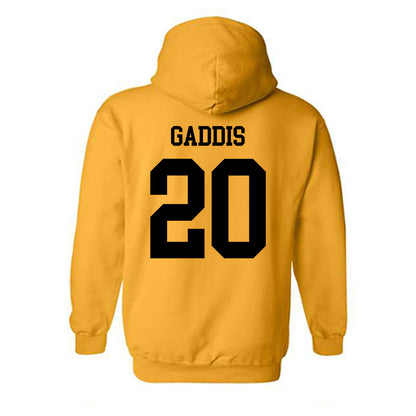 UAPB - NCAA Softball : Ryen Gaddis - Classic Shersey Hooded Sweatshirt-1