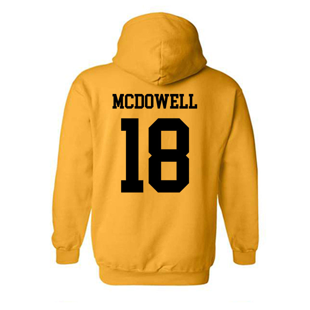 UAPB - NCAA Women's Volleyball : Mackenzie McDowell - Classic Shersey Hooded Sweatshirt-1