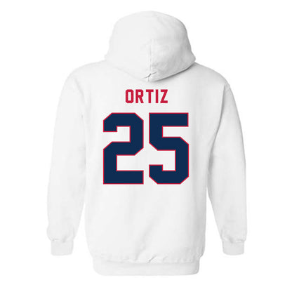 MSU Denver - NCAA Baseball : Erubiel Ortiz - Hooded Sweatshirt-1