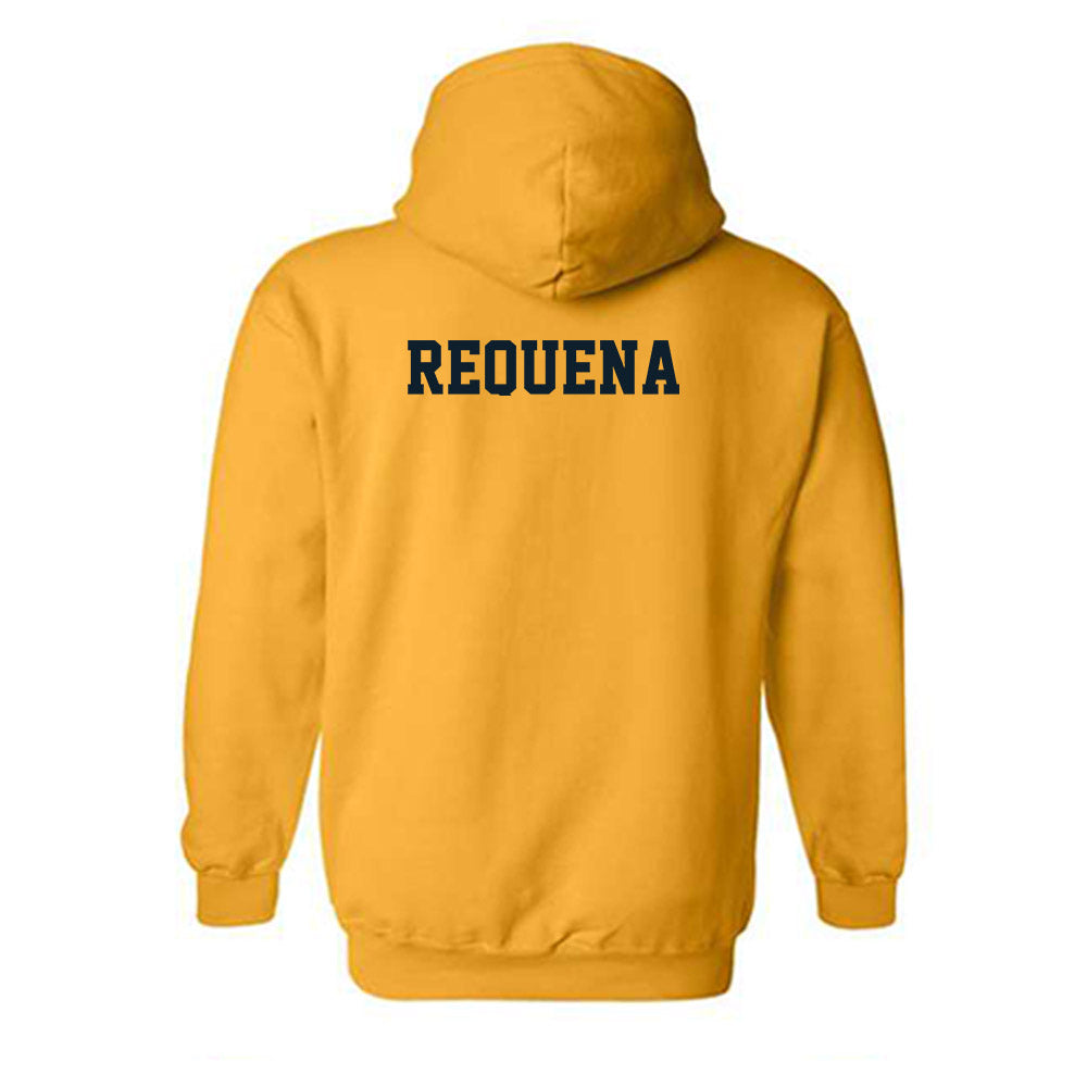 ETBU - NCAA Women's Cross Country : Danna Requena - Classic Shersey Hooded Sweatshirt-1