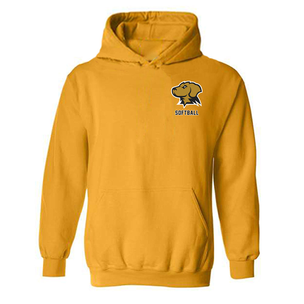 UMBC - NCAA Softball : Brittany Howe - Hooded Sweatshirt-0