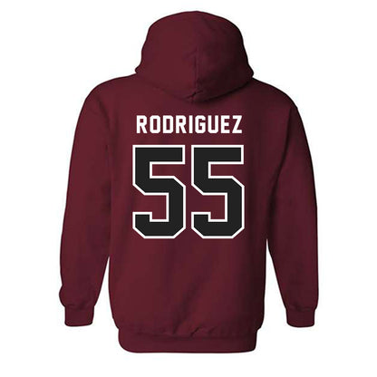 Lenoir Rhyne - NCAA Baseball : Brynden Rodriguez - Classic Shersey Hooded Sweatshirt-1