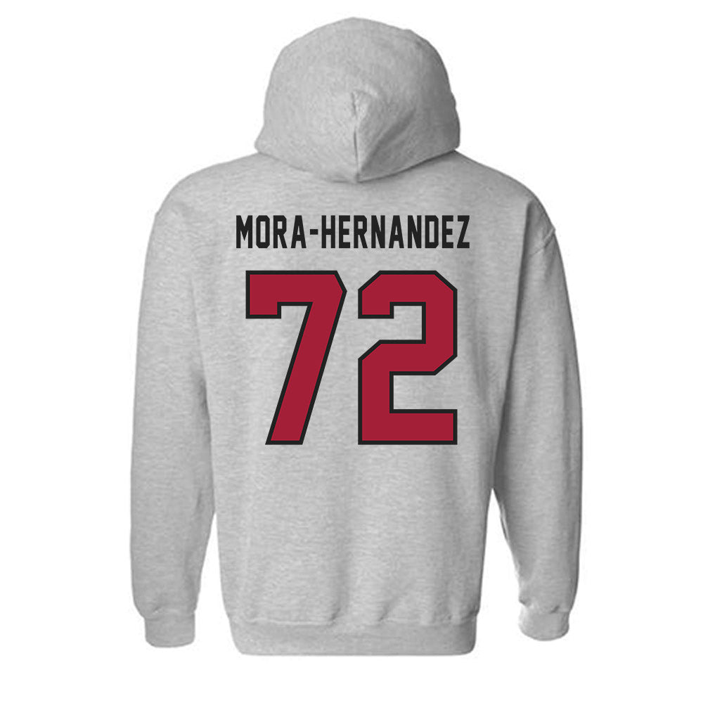 Lenoir Rhyne - NCAA Football : Aaron Jr Mora-Hernandez - Classic Shersey Hooded Sweatshirt-1
