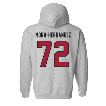 Lenoir Rhyne - NCAA Football : Aaron Jr Mora-Hernandez - Classic Shersey Hooded Sweatshirt-1