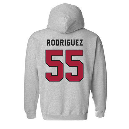 Lenoir Rhyne - NCAA Baseball : Brynden Rodriguez - Hooded Sweatshirt-1