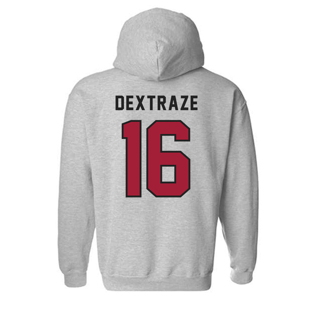 Lenoir Rhyne - NCAA Softball : Kynlee Dextraze - Classic Shersey Hooded Sweatshirt-1