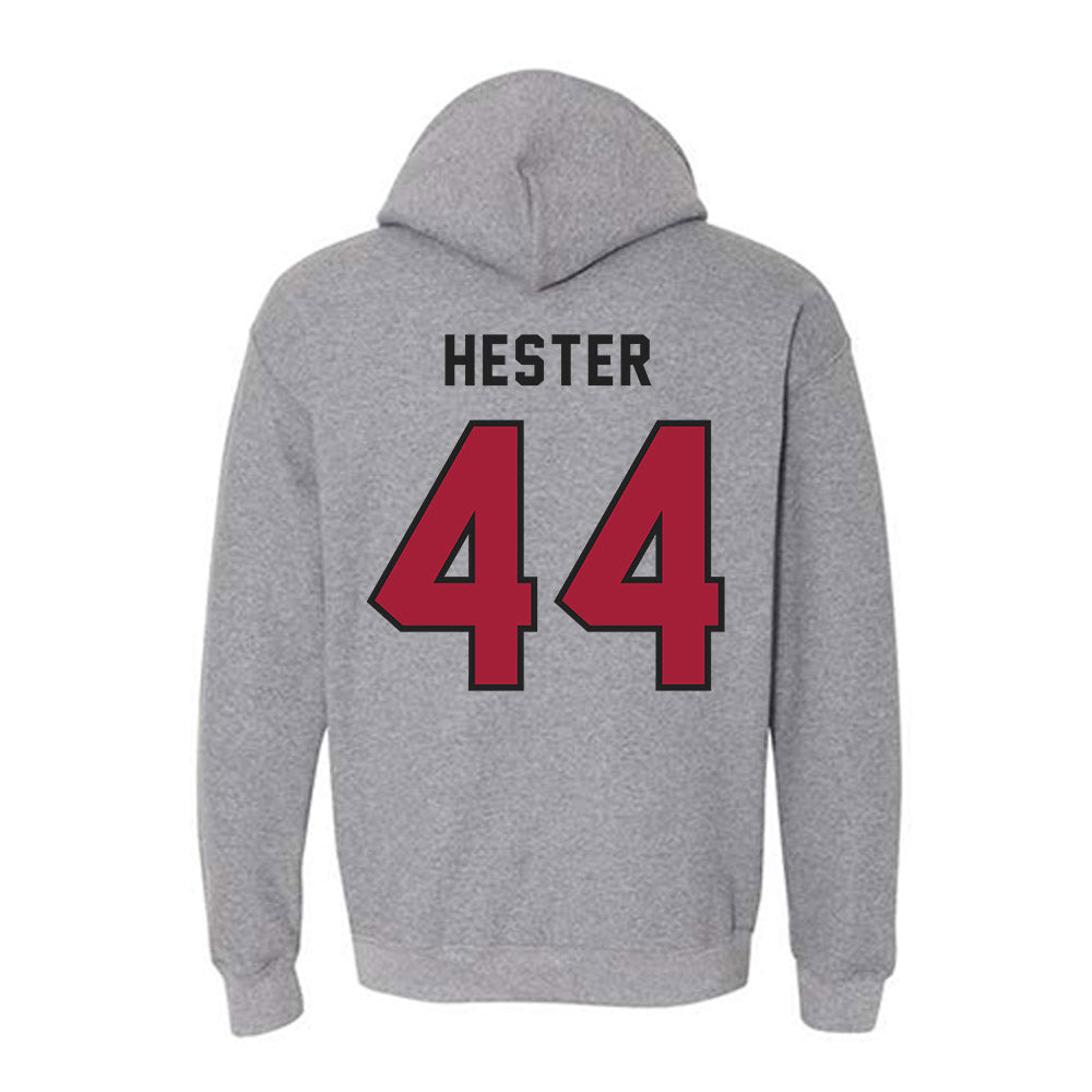 Lenoir Rhyne - NCAA Baseball : Hayden Hester - Classic Shersey Hooded Sweatshirt-1