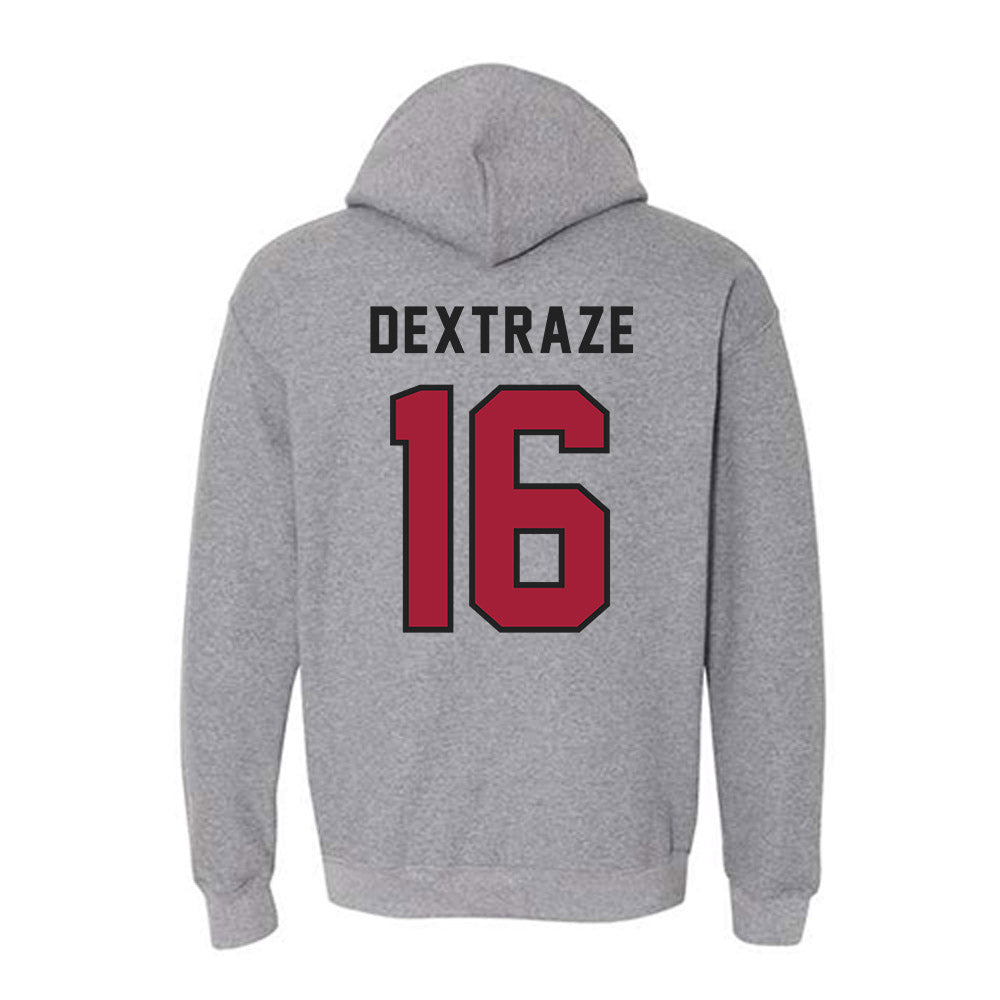 Lenoir Rhyne - NCAA Softball : Kynlee Dextraze - Classic Shersey Hooded Sweatshirt-1