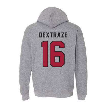 Lenoir Rhyne - NCAA Softball : Kynlee Dextraze - Classic Shersey Hooded Sweatshirt-1