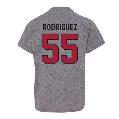 Lenoir Rhyne - NCAA Baseball : Brynden Rodriguez - Classic Shersey Youth T-Shirt-1