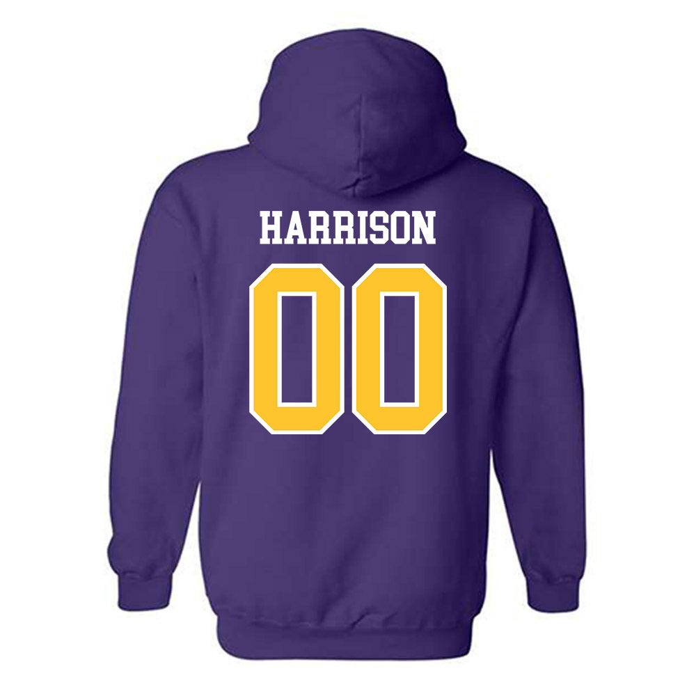 UWSP - NCAA Football : Hayden Harrison - Classic Shersey Hooded Sweatshirt-1