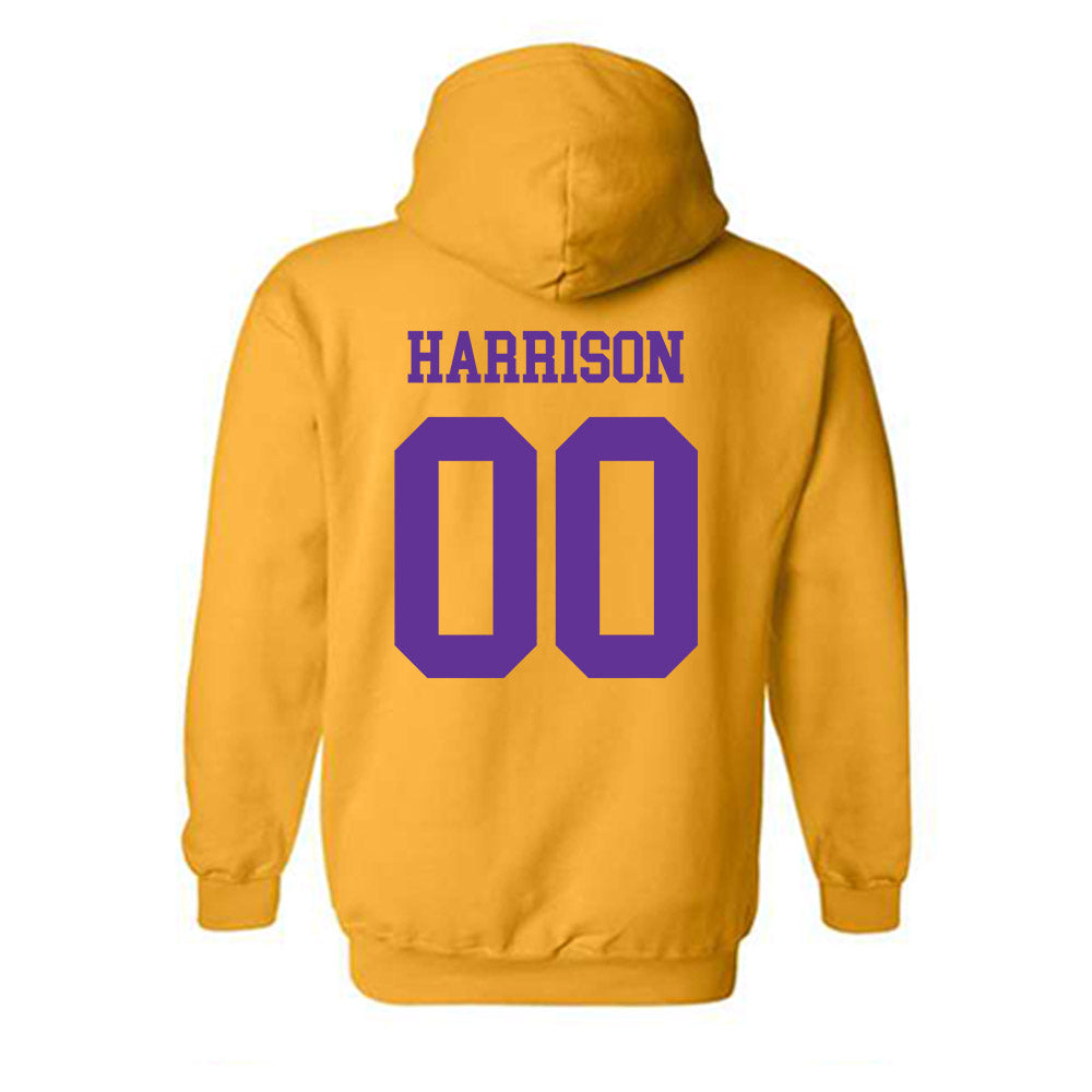 UWSP - NCAA Football : Hayden Harrison - Hooded Sweatshirt-1