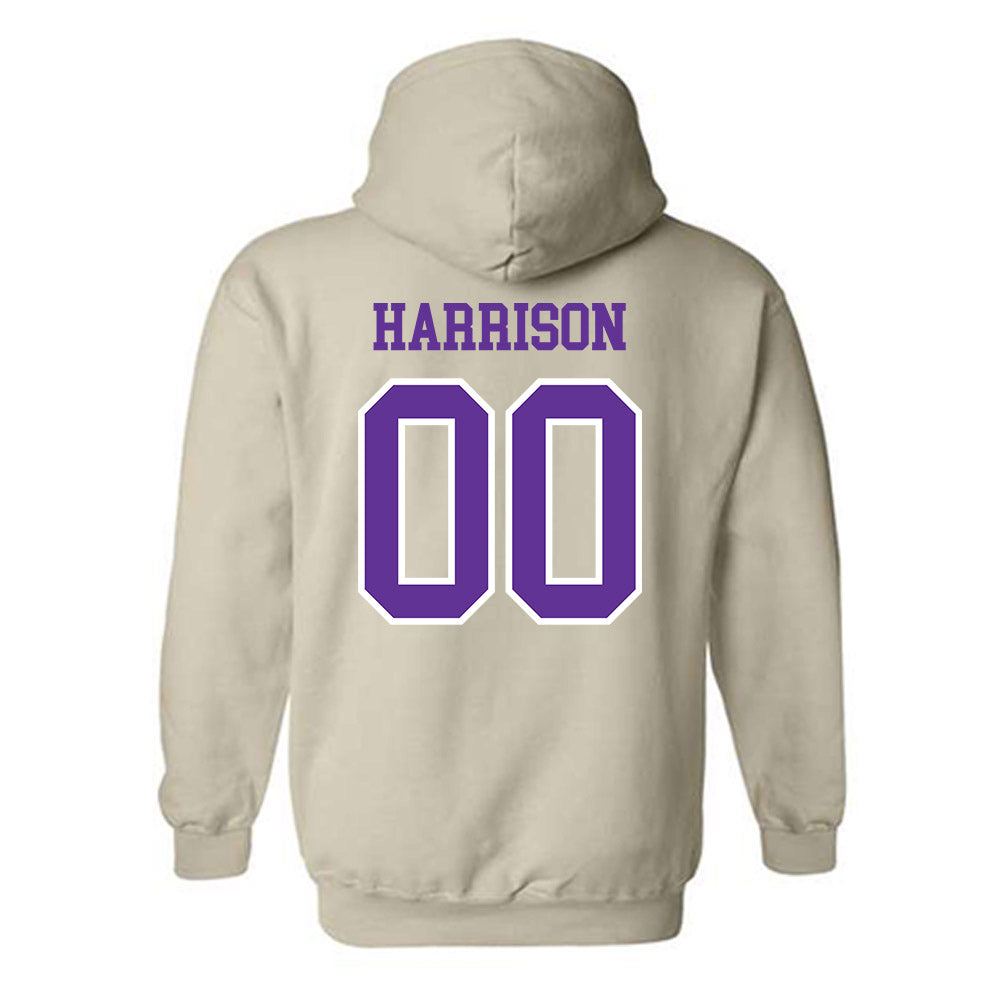 UWSP - NCAA Football : Hayden Harrison - Classic Shersey Hooded Sweatshirt-1