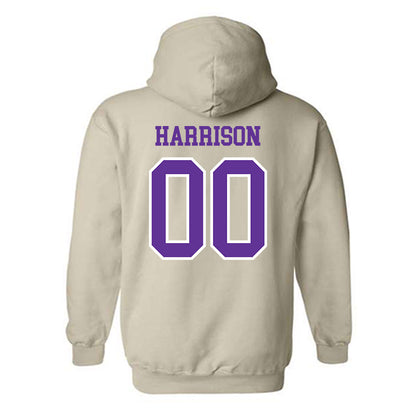 UWSP - NCAA Football : Hayden Harrison - Classic Shersey Hooded Sweatshirt-1